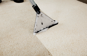carpet-cleaner (HP)
